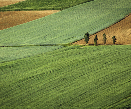 Land Shopping Buyers Guide
