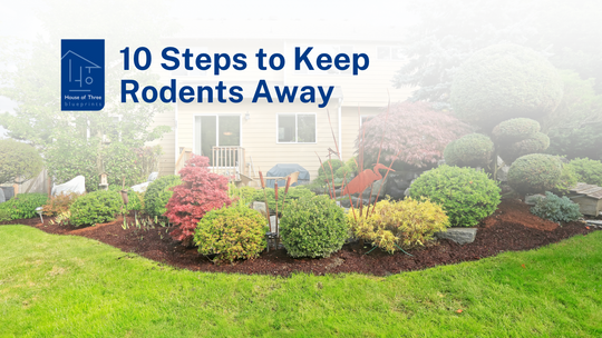Banish Rodents Forever: Top Tips for Protecting Your Property from Pesky Pests