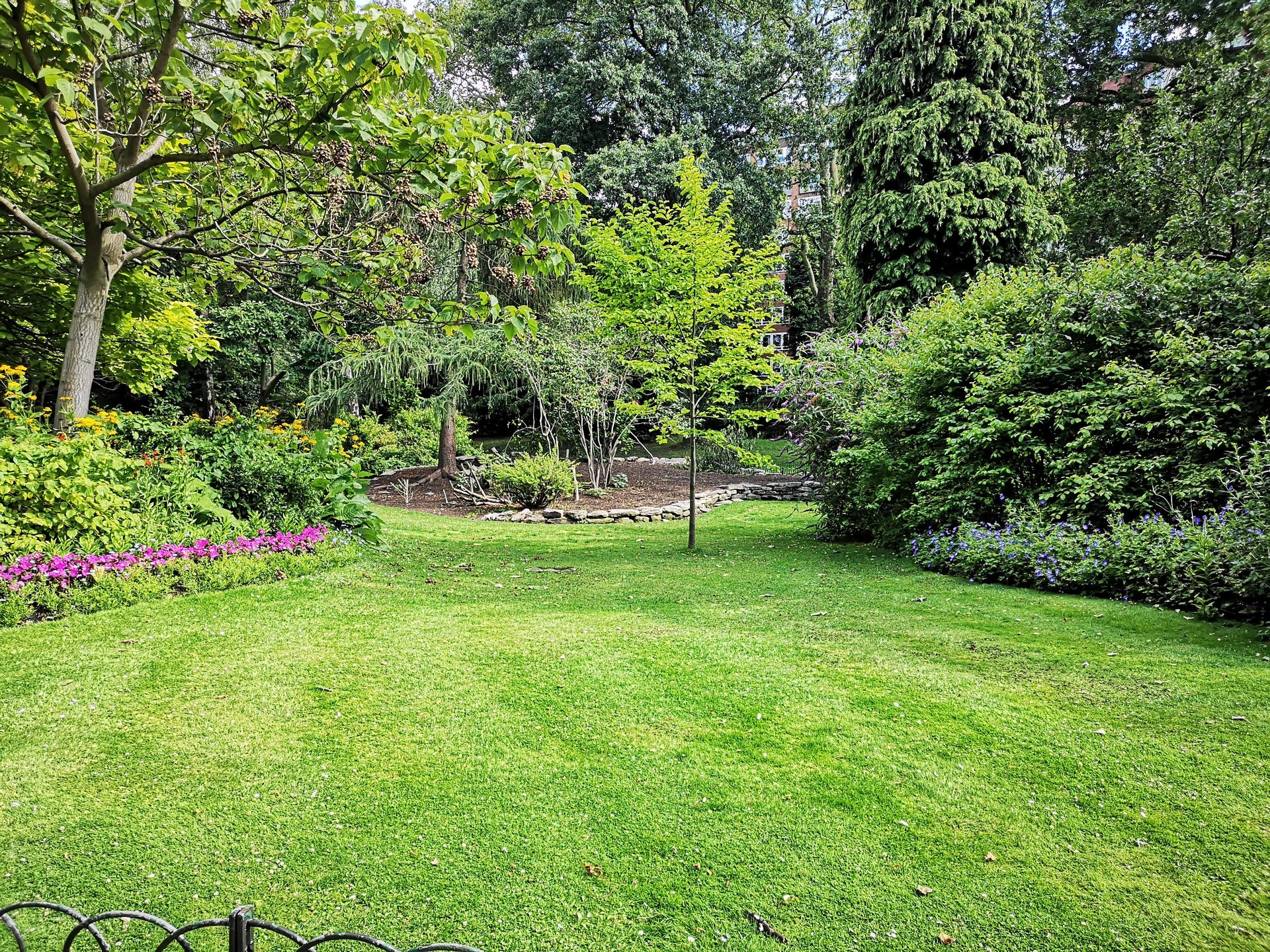 Image of a large backyard garden